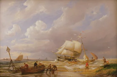 Pampas am Zuiderzee, 19. Jahrhundert